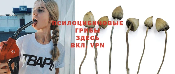 экстази Алзамай
