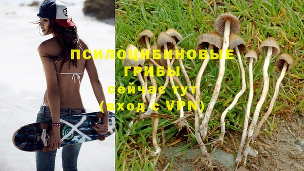 экстази Алзамай