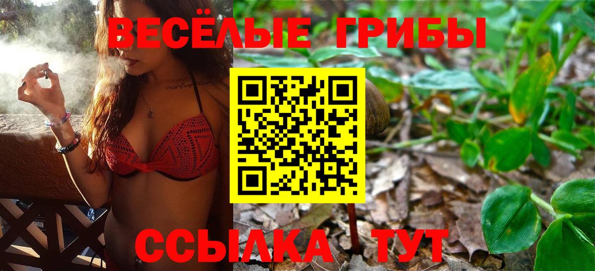 Первоуральск  Галлюциногенные грибы Magic Shrooms  Галлюциногенные грибы GOLDEN TEACHER  Вход с VPN 